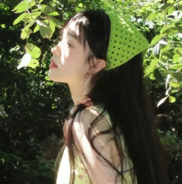 傅满洲的新娘封面